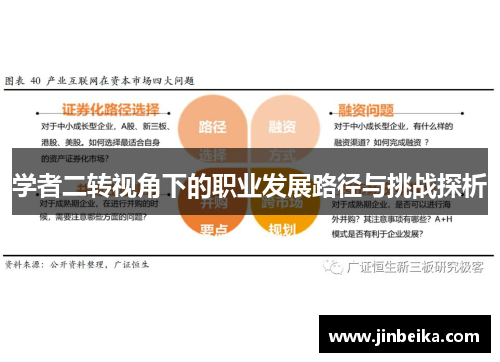 学者二转视角下的职业发展路径与挑战探析